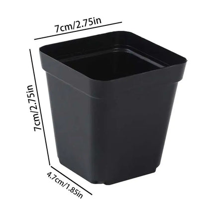 Plastic Seedling Starter Pots – 50 Pack, Square Black Nursery Pots